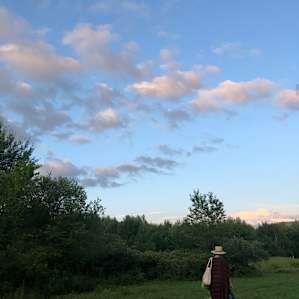 Sanctuary Camp