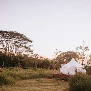 Malulani Ranch Glamping Experience