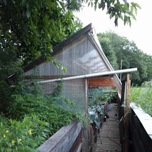 Greenhouse