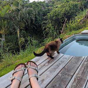The host has a dog and cat-- I'm sure neither would bother you if you prefer them not to, but they were well-behaved, quiet, and adorable.
