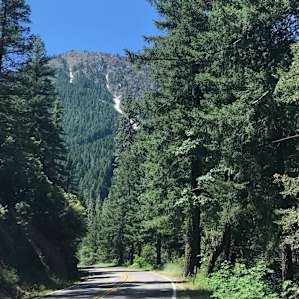 the area, Plumas National Forest