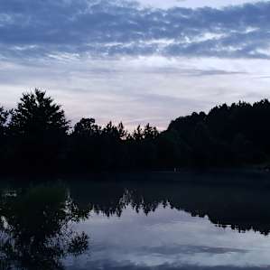 Lakeside Pigs Pears & Fishing