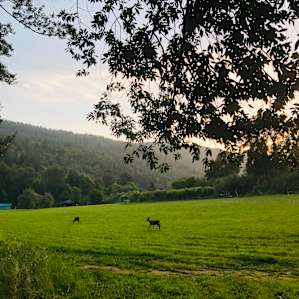 Otter Space Morning Meadow Camp