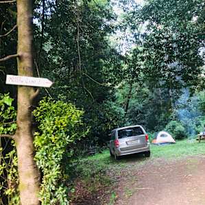 Otter Space Morning Meadow Camp
