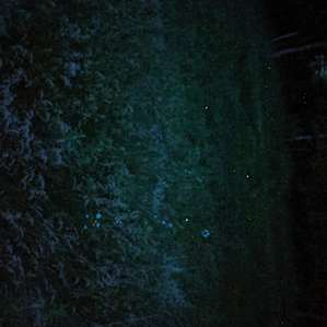 I wish I could have taken night sight video, I never see so many fireflies at once