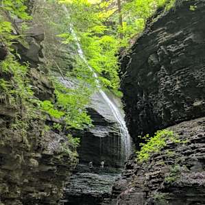 So near to Watkins Glen.