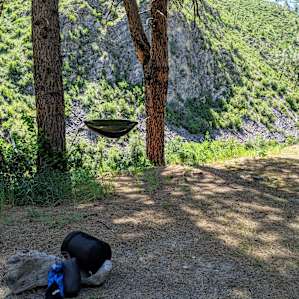 Chosen hammock spot on-site!