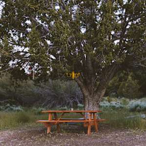Picnic area