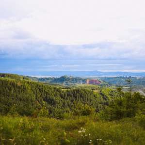 Above the Willamette Valley