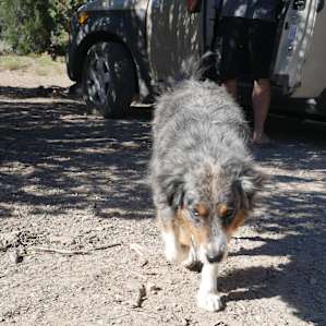 Campsites off Historic Route 66