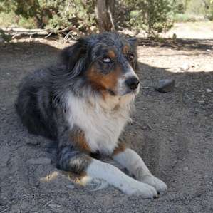 Campsites off Historic Route 66