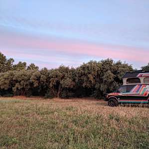 We camped just outside the olive Grove but would've loved to gone under the trees if the van would fit when fully open