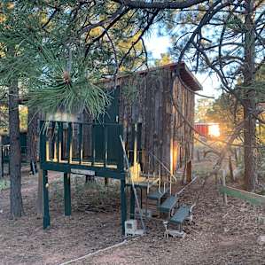Treehouse Cabins