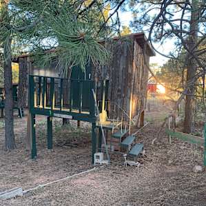Treehouse Cabins