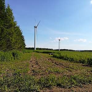 It was in interesting to be so close to wind turbines, to see their operation.