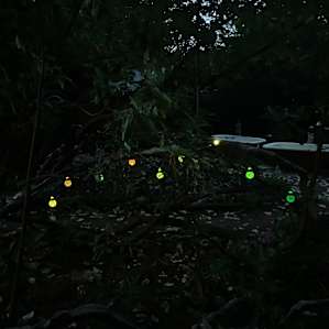 Laytonville Ecovillage Camp