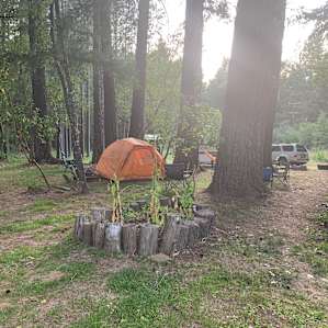 Laytonville Ecovillage Camp