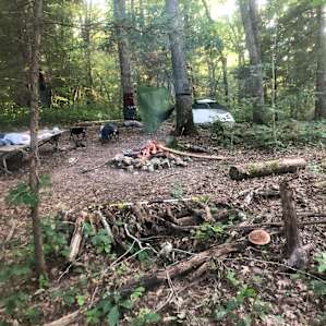 River Bluff Woods