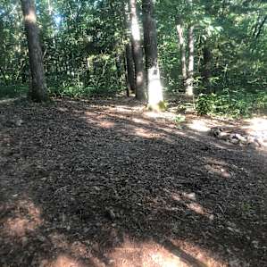 River Bluff Woods