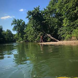 River Bluff Woods