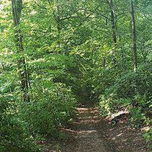 Sweet little spot for pondering