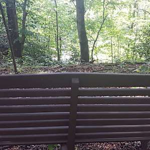 One of the more private camping spots, close to trails
