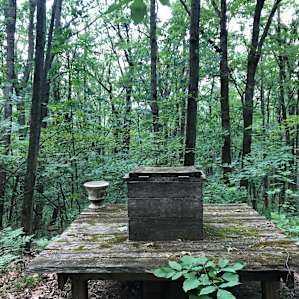 The Naples Cabin