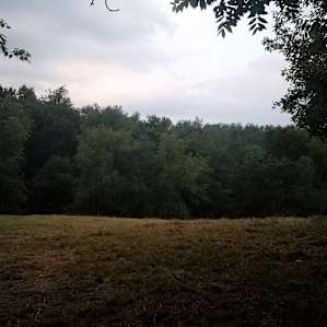 The view from my tent. I loved it.