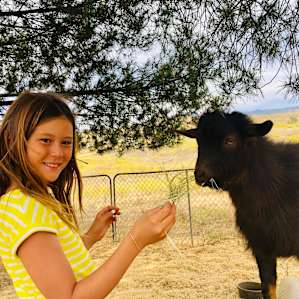 Valley Overview & Baby Goats (RV)