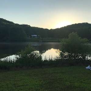Lakeside Camping