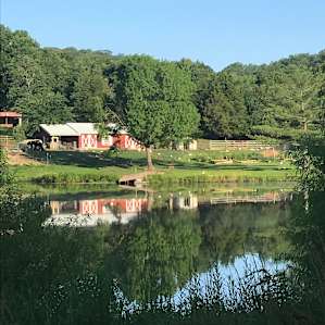 Lakeside Camping