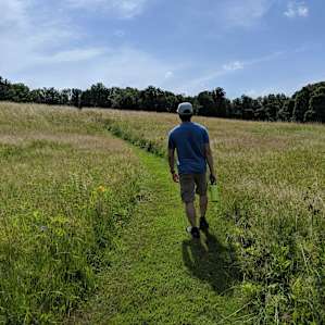 Trail into the field towards the meditation rock