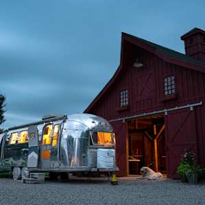 Our Airstream (@bear_theairstream) next to rec barn. Frost, lounging in the light.