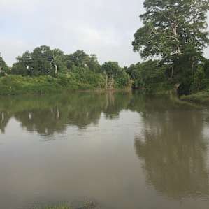 Oxbow
