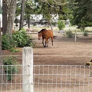 Healing Hearts Ranch RV Site