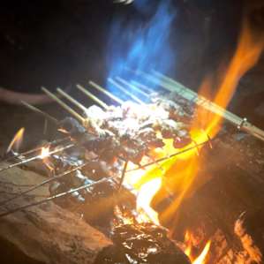 Glamping at the Honey Farm