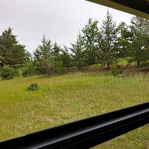 The view from our RV