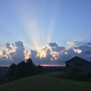 Sunrise