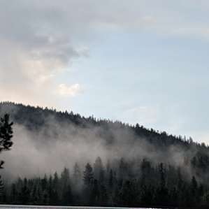 Oasis Camp Sites