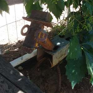 A secret hidden in the garden.