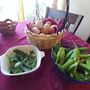 Fresh eggs, veggies, and herbs from the garden