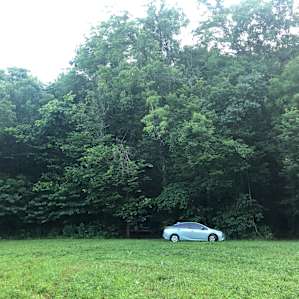 Looking across the field at the wooded area where the campsites are located. Our car is in front of the entrance to the sites.