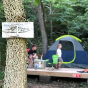 Campsite #1