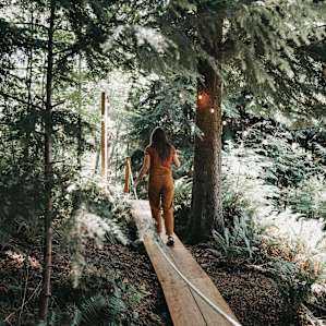 A walk down Sasquatch Lane