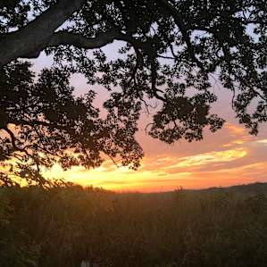 Jemerson Creek Camp