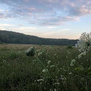Jemerson Creek Camp