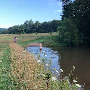 Jemerson Creek Camp