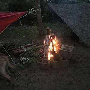 Nice area for a fire and lots of easily accessible firewood complements of the host.