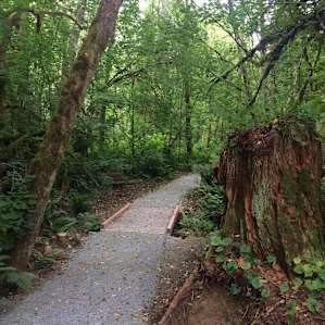 Experience Lake Samish
