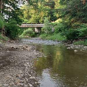 The creek along the campsite